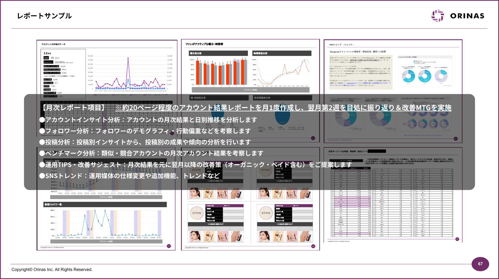 レポート見本